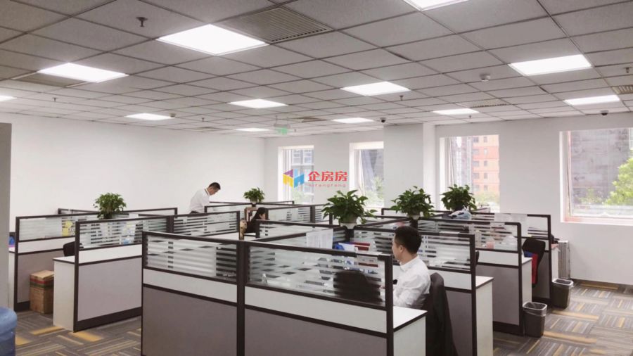 新东源股份社