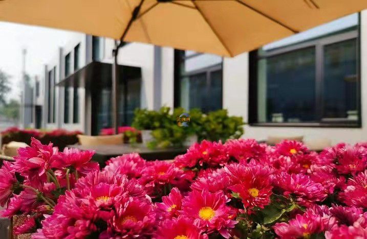 蜂巢工场东区