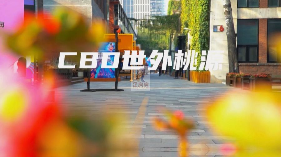 CBD朗园vintage