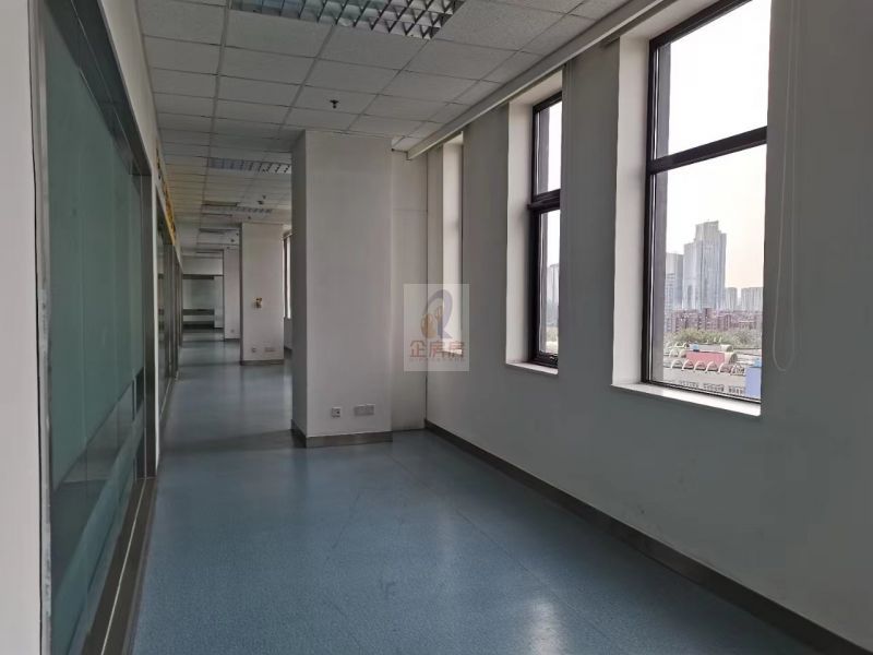 启明国际大厦 