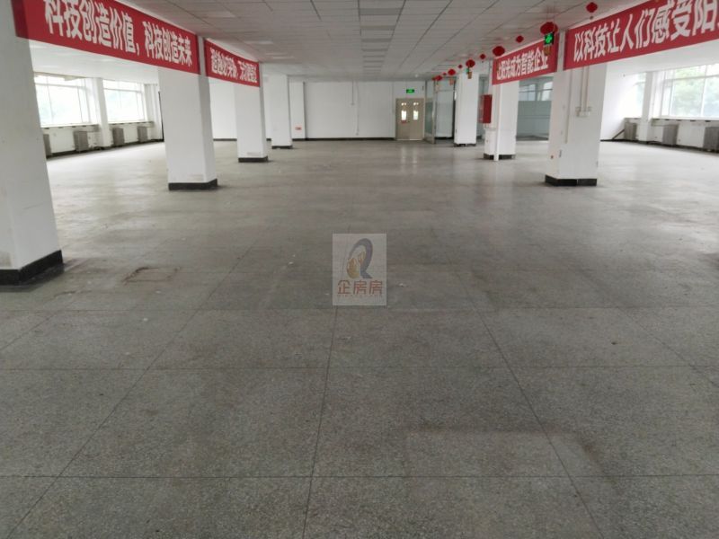  环星大厦