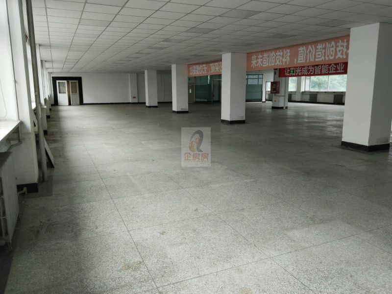  环星大厦