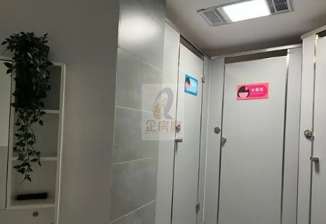 国英1号 