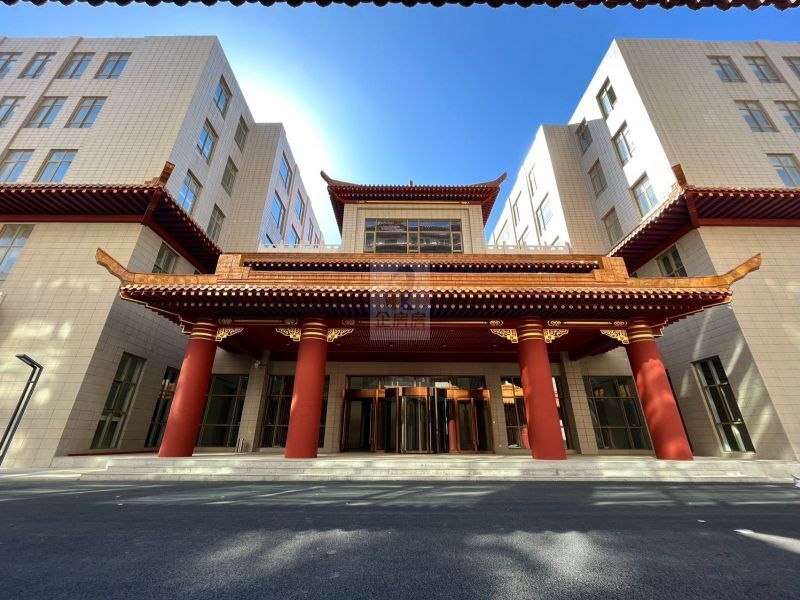 新龙国际大厦