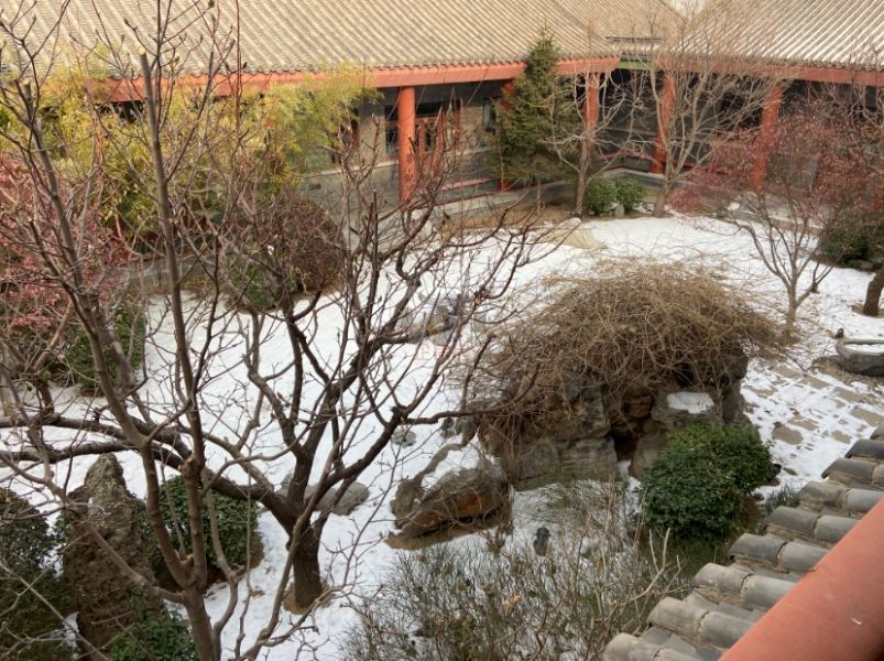 镇国寺191号