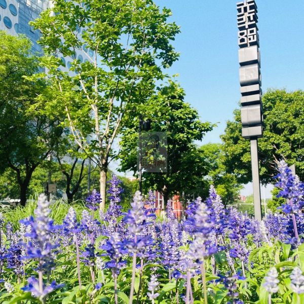 光华路SOHO二期