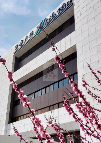 丽都广场
