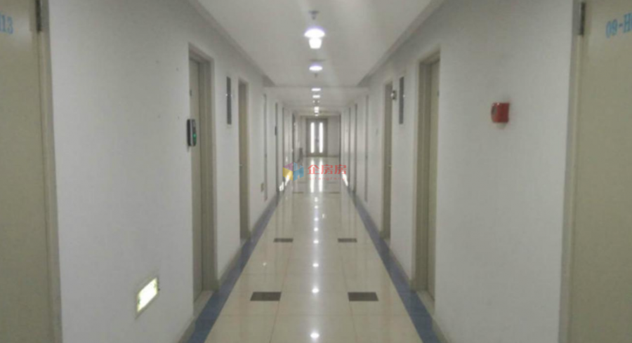 1290_1.jpg