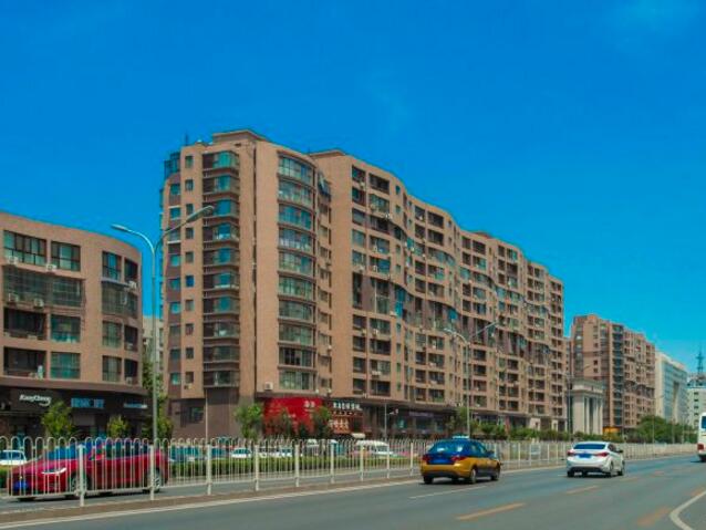 1145_4.jpg