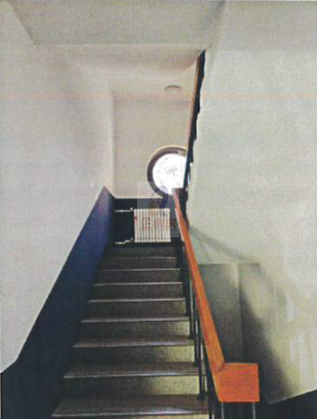 4933_4.jpg