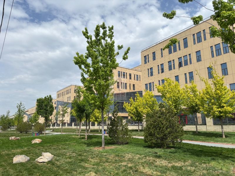 4845_4.jpg