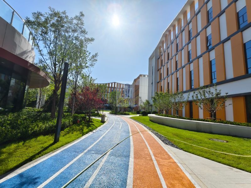 4828_5.jpg