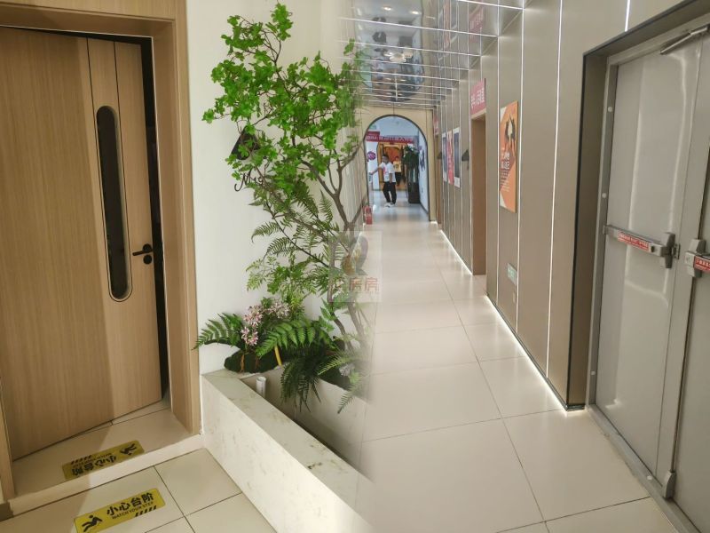 4814_2.jpg