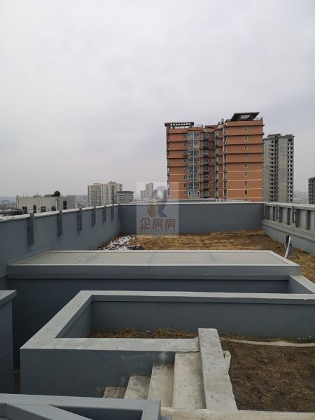4795_5.jpg