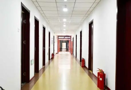 4773_2.jpg