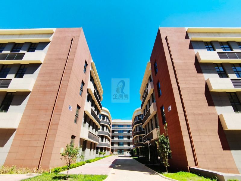 4749_5.jpg