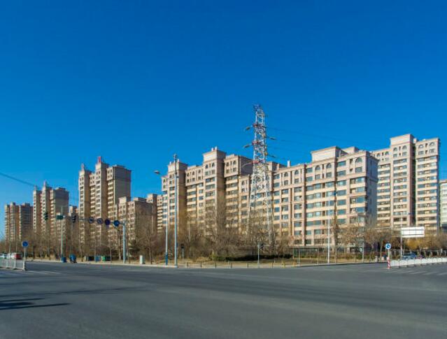 1531_1.jpg